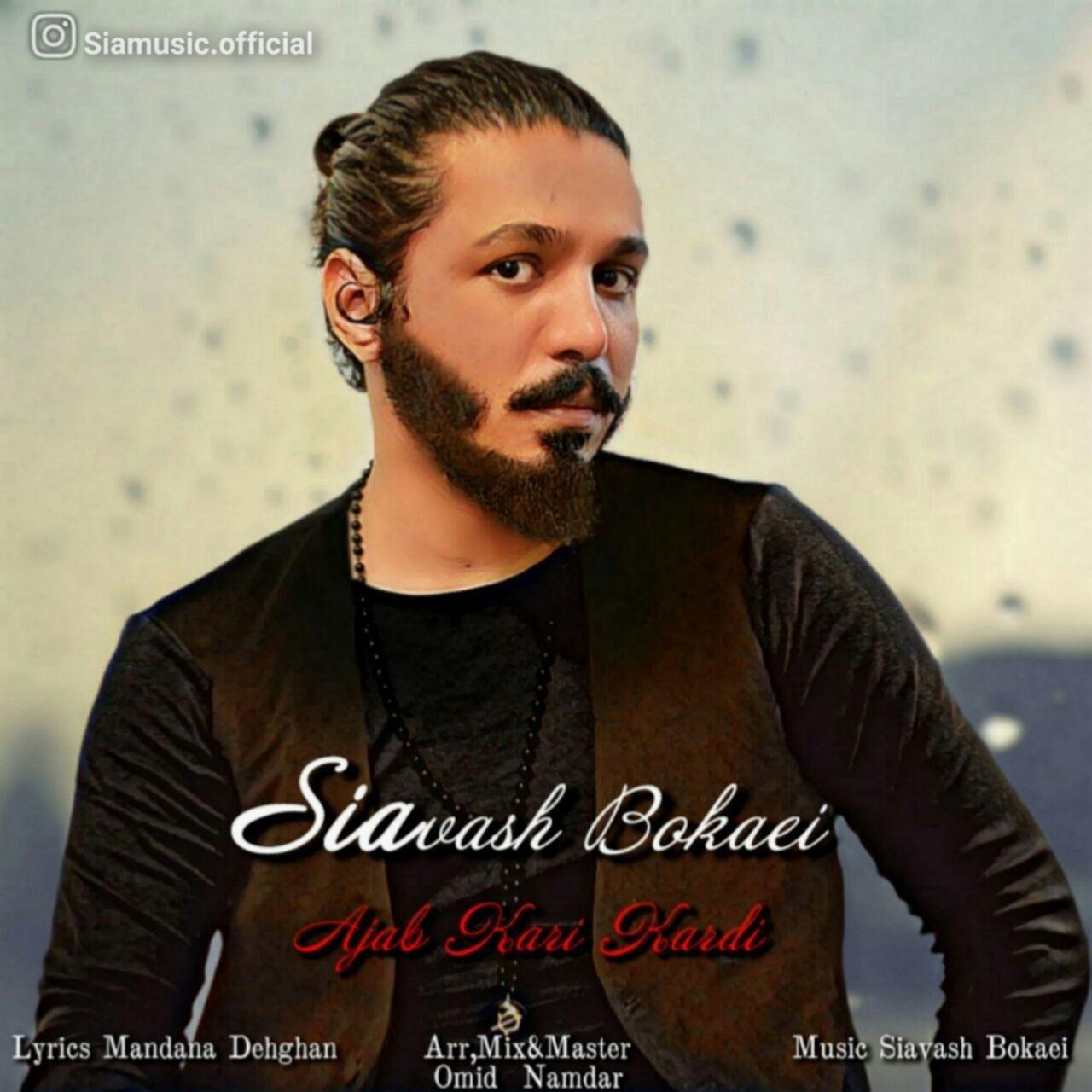 Siavash Bokaei - Ajab Kari Kardi