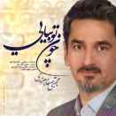 مجتبی صفار هرندی چون تو بیایی