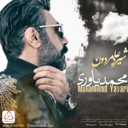 محمد یاوری - شیر علی مردون