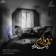 رضا روزبه - ناز داروم