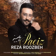 رضا روزبه - پاییز