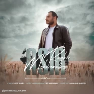 محمدرضا رنجبر - اسیر