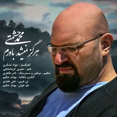 محمد حشمتی - هرگز نمیشد باورم