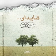 داریوش آذر - شاید او