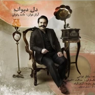 حامد وثوقی - دل دیوانه