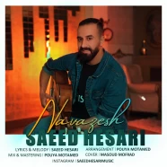 سعید حصاری - نوازش