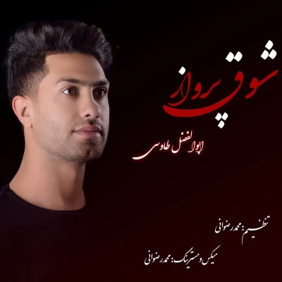 ابوالفضل طاووسی - شوق پرواز