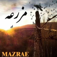 امیر کیان - مزرعه