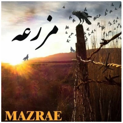 امیر کیان - مزرعه