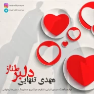 مهدی تنهایی - دلبر طناز