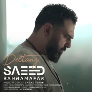 سعید رهنمافر - دلتنگ