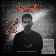 توحید زرندی - هبوط