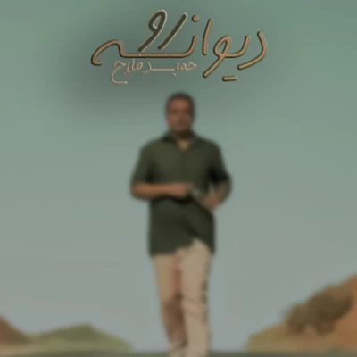 حمید فلاح - دیوانه رو