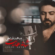 محمد فتحی - شانه هایت