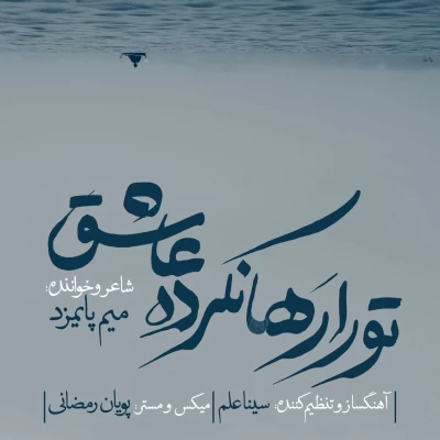 میم پایمزد - تو را رها نکرده عاشق