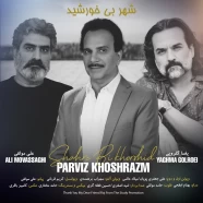 پرویز خوش رزم - شهر بی خورشید