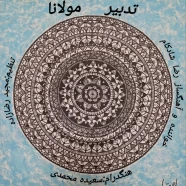 رضا شادکام - تدبیر