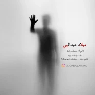 میلاد عبدالهی - دلم از دست رفت