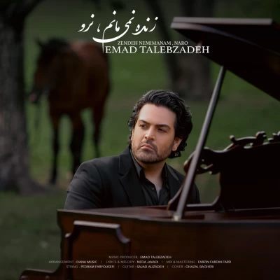 عماد طالب زاده - زنده نمی مانم نرو