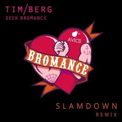 آویچی و تیم برگ - Seek Bromance