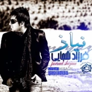 فرزاد شجاعی - نیاز