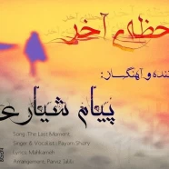 پیام شیاری - لحظه ی آخر