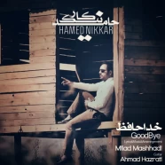 حامد نیک کار - خداحافظ