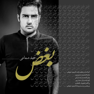 حمید شجاعی - بغض