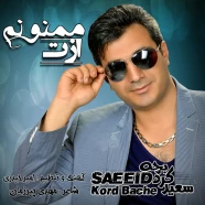 سعید کردبچه - ازت ممنونم