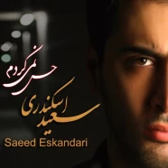 سعید اسکندری - حس نمیکردم