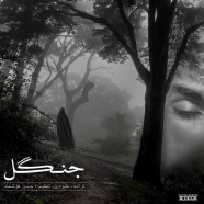 حسن هوشمند - جنگل