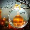 علی رها امام رضا (ع)