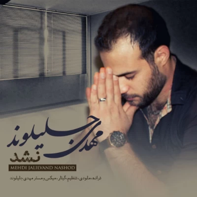 مهدی جلیلوند - نشد