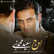 سعید محمدنبی - اوج