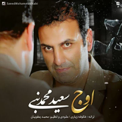 سعید محمدنبی - اوج