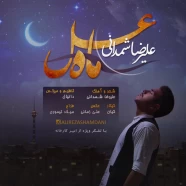 علیرضا شمدانی - ماه عسل