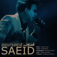 سعید پورسعید - قضاوت