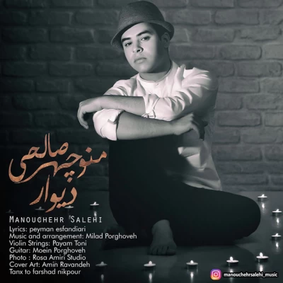 منوچهر صالحی - دیوار