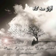 مجتبی بدری - آواز سه گاه