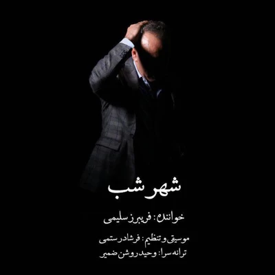 فریبرز سلیمی - شهر شب