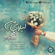 علی میرمحمدی - لیلای من