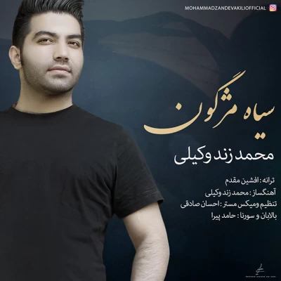 محمد زند وکیلی - سیاه مژگون