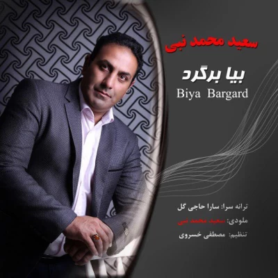 سعید محمدنبی - بیا برگرد