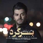 معین راهبر - برگرد