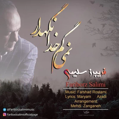 فریبرز سلیمی - نمیگم خدانگهدار