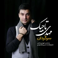 مهدی تاجیک - سرگردان