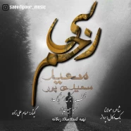 سعید سعیدی پور - بی رحم