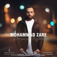 محمد زارع - روزای رفته