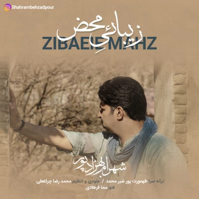 شهرام بهزادپور - زیبایی محض