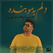 حسام نصیری - دلم به مو بنده